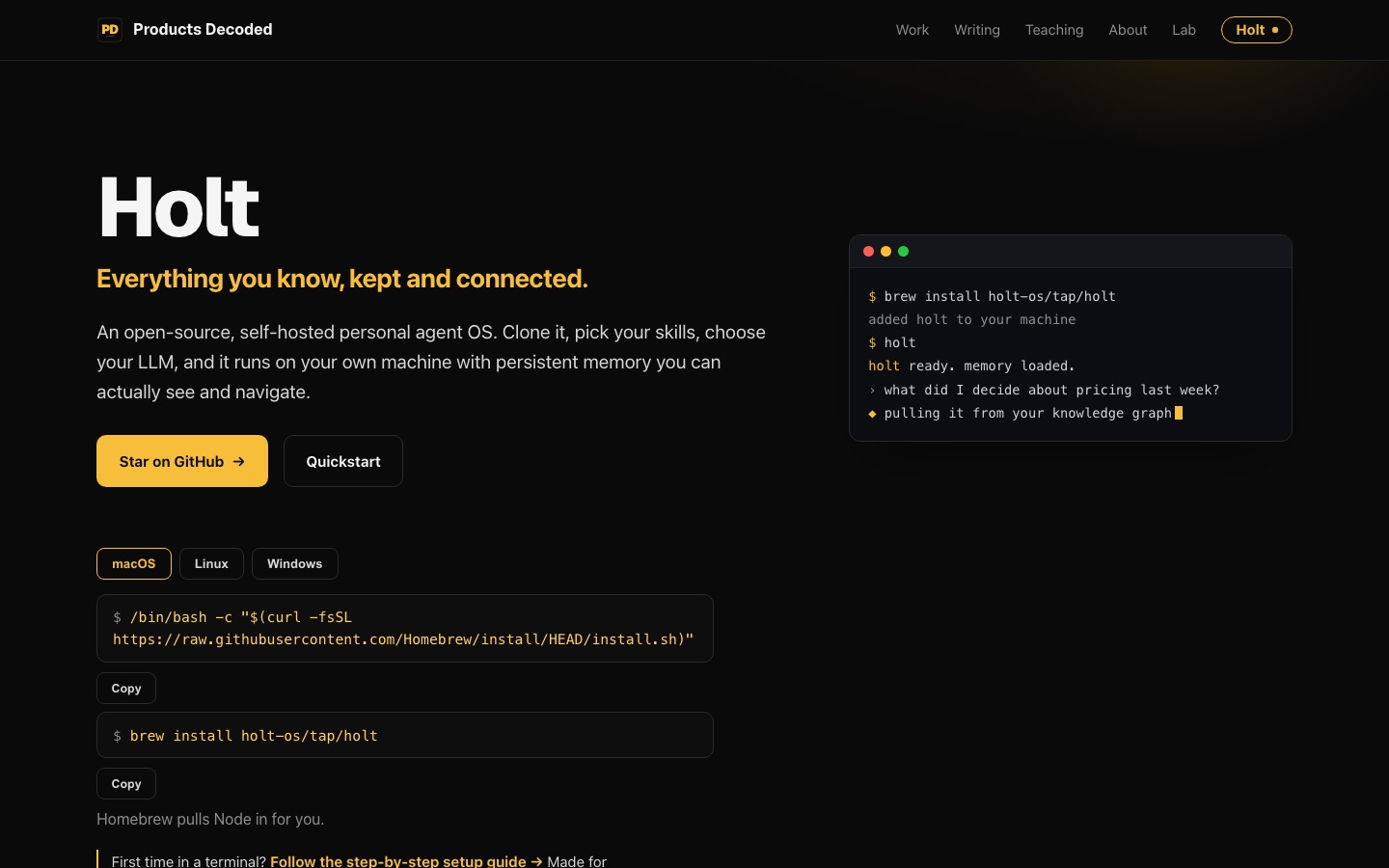 Holt product page with the Homebrew install command and a terminal session